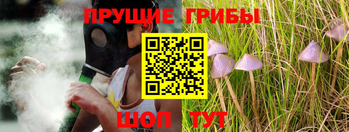 Балахна  Псилоцибиновые грибы GOLDEN TEACHER  Псилоцибиновые грибы Cubensis  Вход с VPN 