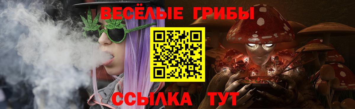 Галлюциногенные грибы мицелий Балахна